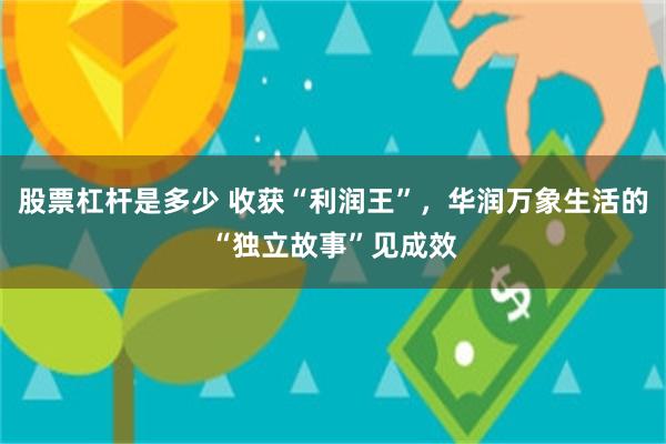 股票杠杆是多少 收获“利润王”，华润万象生活的“独立故事”见成效