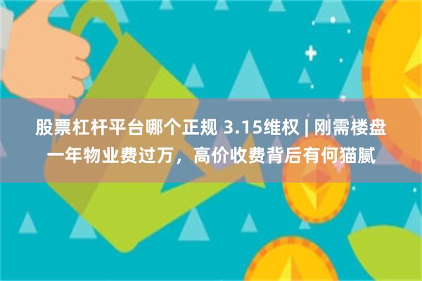 股票杠杆平台哪个正规 3.15维权 | 刚需楼盘一年物业费过万，高价收费背后有何猫腻