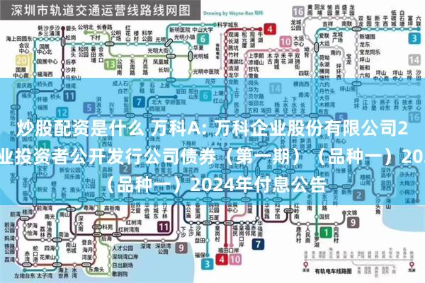 炒股配资是什么 万科A: 万科企业股份有限公司2023年面向专业投资者公开发行公司债券（第一期）（品种一）2024年付息公告