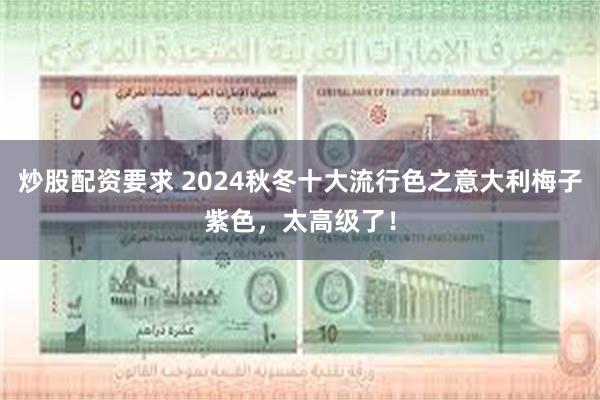 炒股配资要求 2024秋冬十大流行色之意大利梅子紫色，太高级了！