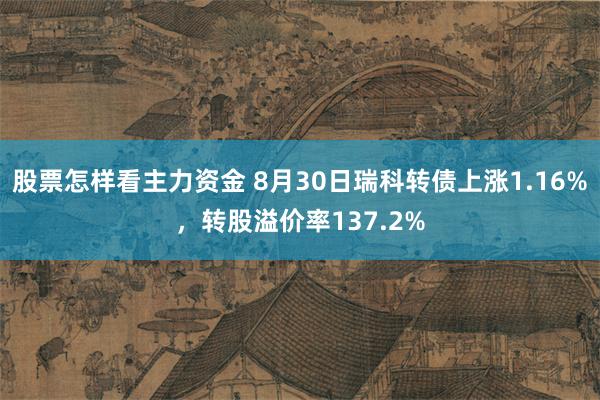 股票怎样看主力资金 8月30日瑞科转债上涨1.16%，转股溢价率137.2%