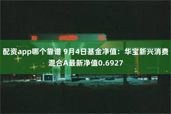 配资app哪个靠谱 9月4日基金净值：华宝新兴消费混合A最新净值0.6927