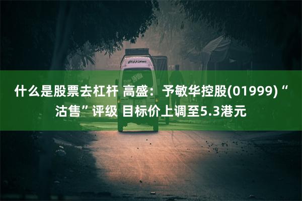 什么是股票去杠杆 高盛：予敏华控股(01999)“沽售”评级 目标价上调至5.3港元